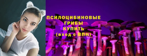 крисы Протвино