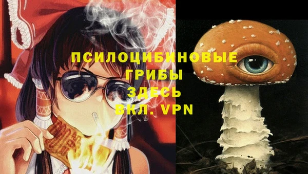 спиды Пролетарск