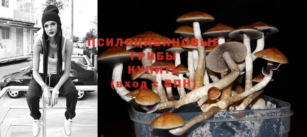спиды Пролетарск